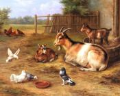 埃德加亨特 - A farmyard Scene With Goats Chickens Doves